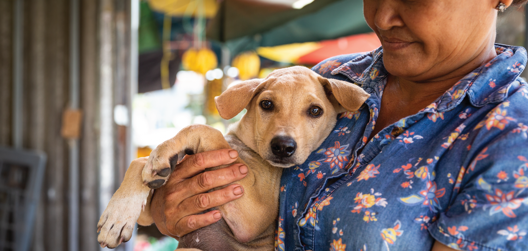 A picture of a local Asian woman holding a puppy in her arms